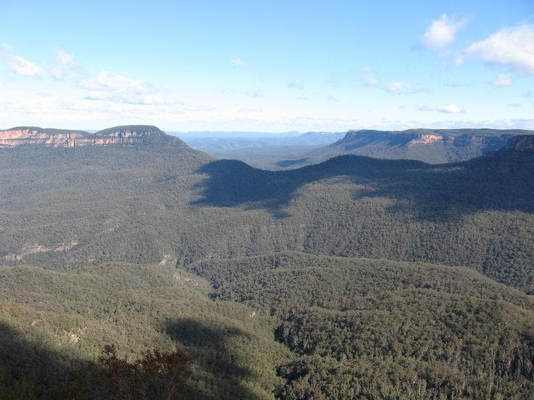 Australian national park eucalyptus forest and sandstone
